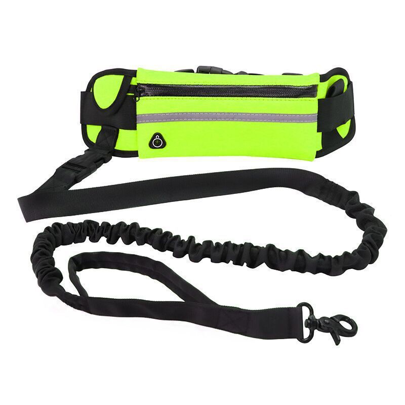 Pet Purse Dog Leash - Hands - Free Walking with Storage Pouch - Freddie & Wilson