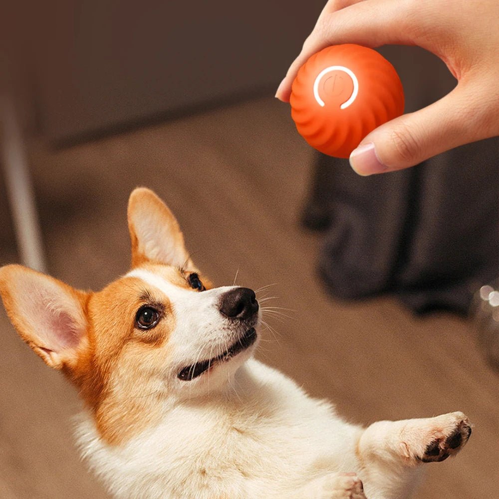 Smart Dog Toy Ball - Automatic Interactive Electronic Pet Toy - Freddie & Wilson