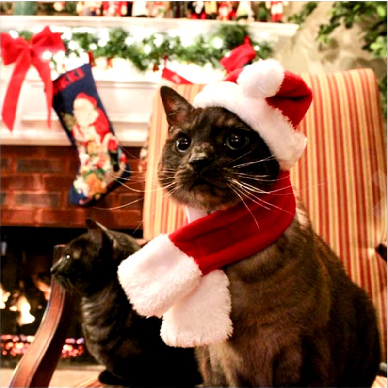 Pet Santa Hat & Scarf Christmas Set - Adjustable for Cats & Dogs - Freddie & Wilson