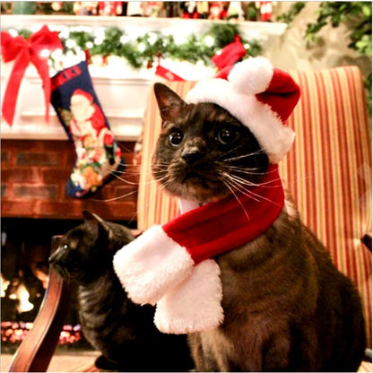 Pet Santa Hat & Scarf Christmas Set - Adjustable for Cats & Dogs - Freddie & Wilson
