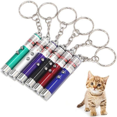 Cat Laser Pointer - Interactive Training Tool with LED Torch & Keychain - Freddie & Wilson