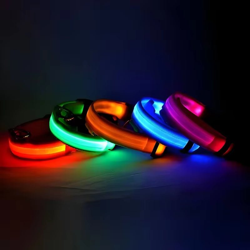 LED Night Safety Dog Collar - Nylon Glow in the Dark Pet Collar - Freddie & Wilson