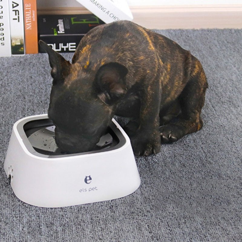 No - Splash Dog Water Bowl - Floating Anti - Spill Pet Bowl 1.5L - Freddie & Wilson