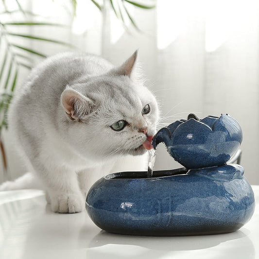 Decorative Cat Water Fountain - Resin Pet Water Feeder with Flowing Design - Freddie & Wilson