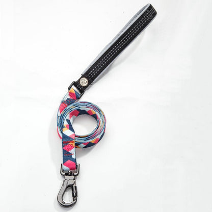 Dog Collar & Leash Set - Geometric Pattern Polyester Design - Freddie & Wilson