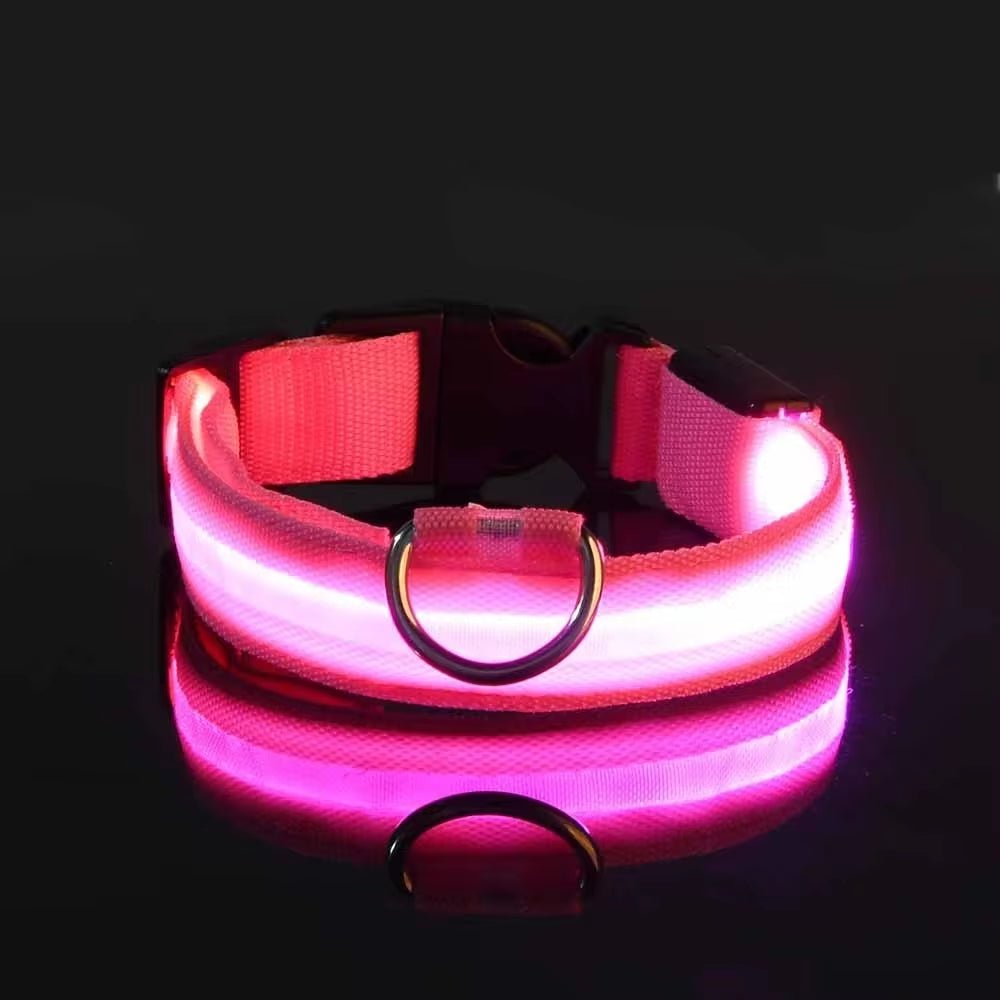 LED Night Safety Dog Collar - Nylon Glow in the Dark Pet Collar - Freddie & Wilson