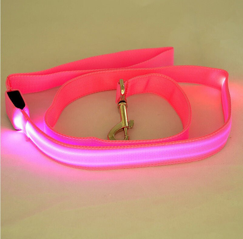 Glowing LED Dog Leash - Light Up Pet Lead for Night Safety - Freddie & Wilson