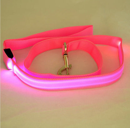 Glowing LED Dog Leash - Light Up Pet Lead for Night Safety - Freddie & Wilson