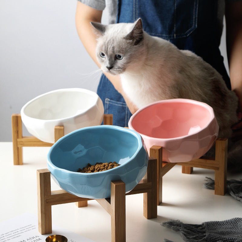 Tilted Cat Bowl - Ergonomic Angled Pet Food Bowl for Comfortable Feeding - Freddie & Wilson