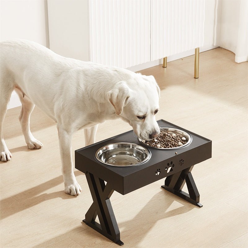 Multi - Function Pet Feeding Station - Stainless Steel & Folding Bowl Set - Freddie & Wilson