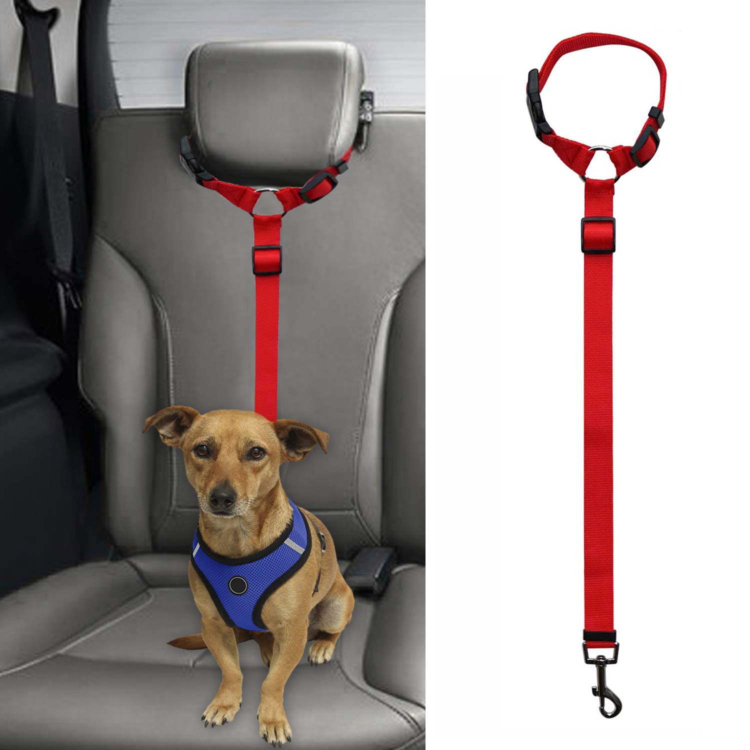 Pet Safety Leash - Secure Dog Lead for Daily Walks - Freddie & Wilson