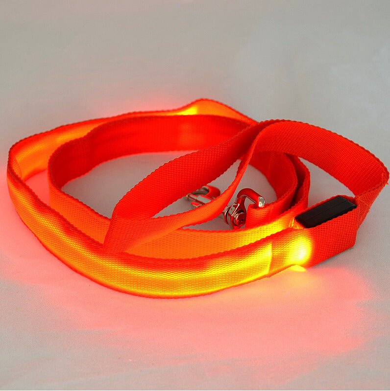 Glowing LED Dog Leash - Light Up Pet Lead for Night Safety - Freddie & Wilson