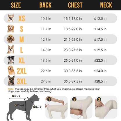 Waterproof Dog Raincoat - Hooded Rain Jacket with Transparent Cap - Freddie & Wilson