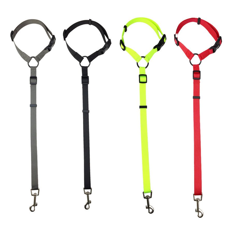 Pet Safety Leash - Secure Dog Lead for Daily Walks - Freddie & Wilson