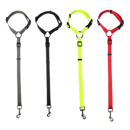 Pet Safety Leash - Secure Dog Lead for Daily Walks - Freddie & Wilson