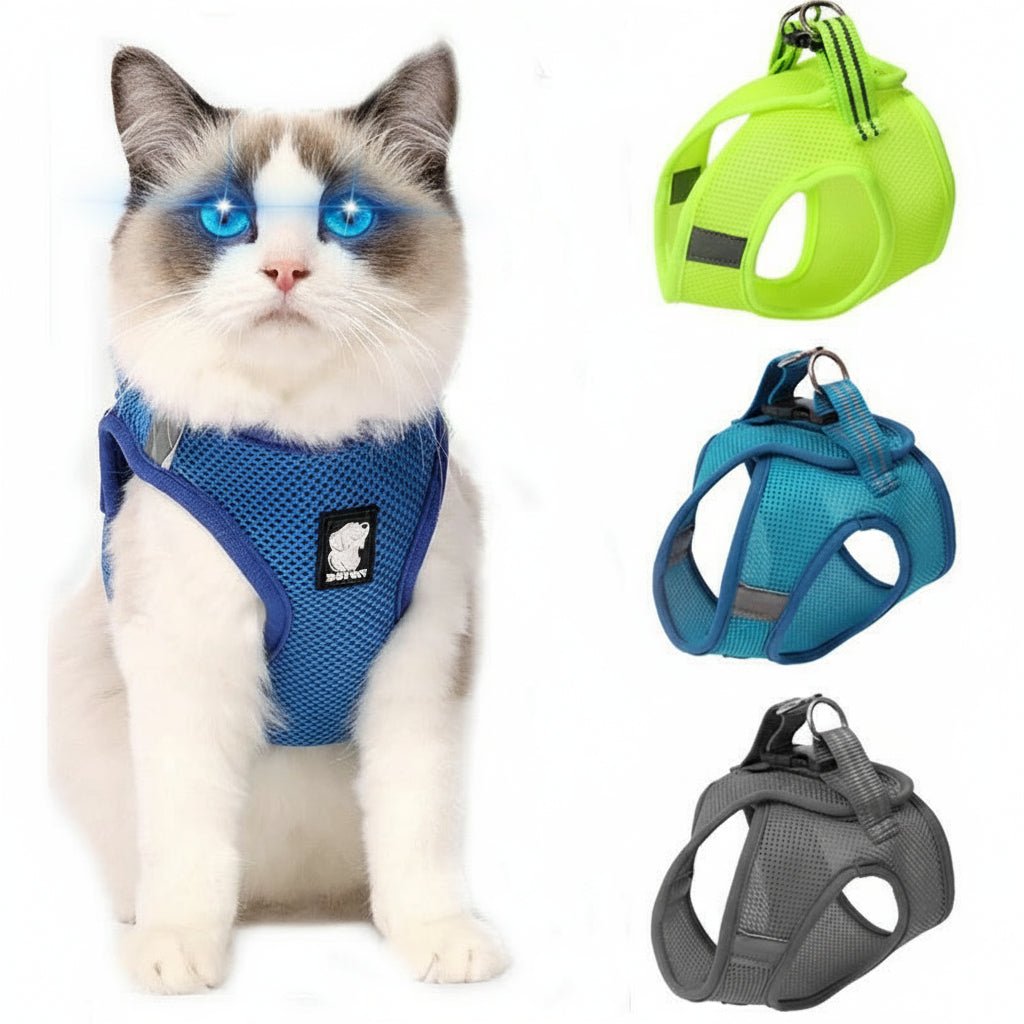 Cat Harness - Escape - Proof Vest for Safe Outdoor Adventures - Freddie & Wilson