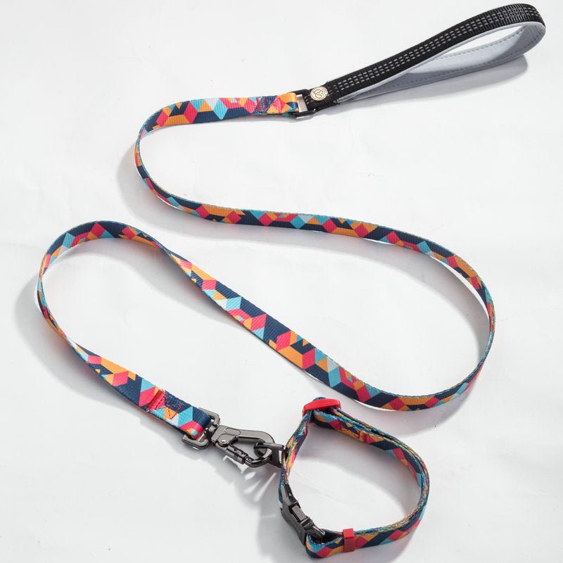 Dog Collar & Leash Set - Geometric Pattern Polyester Design - Freddie & Wilson