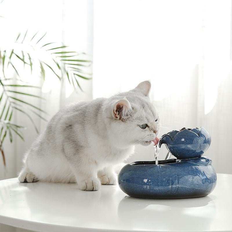 Decorative Cat Water Fountain - Resin Pet Water Feeder with Flowing Design - Freddie & Wilson