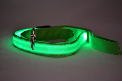Glowing LED Dog Leash - Light Up Pet Lead for Night Safety - Freddie & Wilson