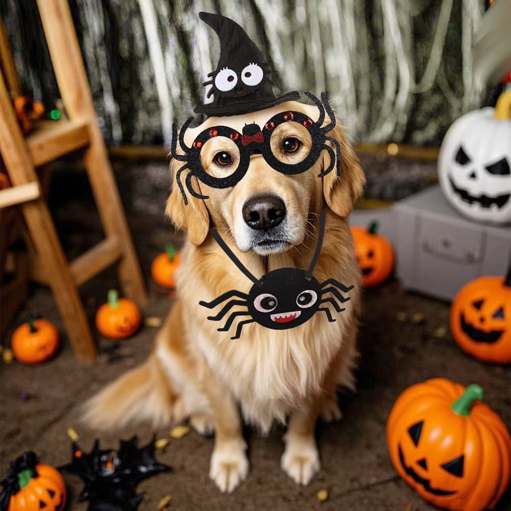 Fashion Cat Bat Wings Costume - Halloween Pet Cosplay Prop - Freddie & Wilson