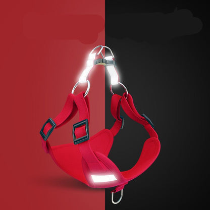 Reflective Dog Harness & Leash Set - High Visibility Vest for Night Safety - Freddie & Wilson