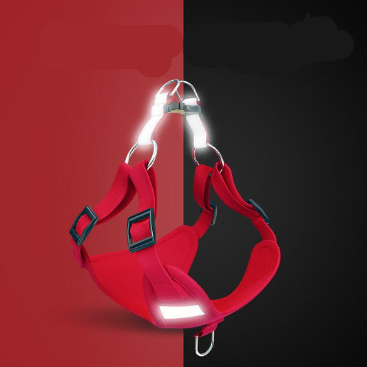 Reflective Dog Harness & Leash Set - High Visibility Vest for Night Safety - Freddie & Wilson