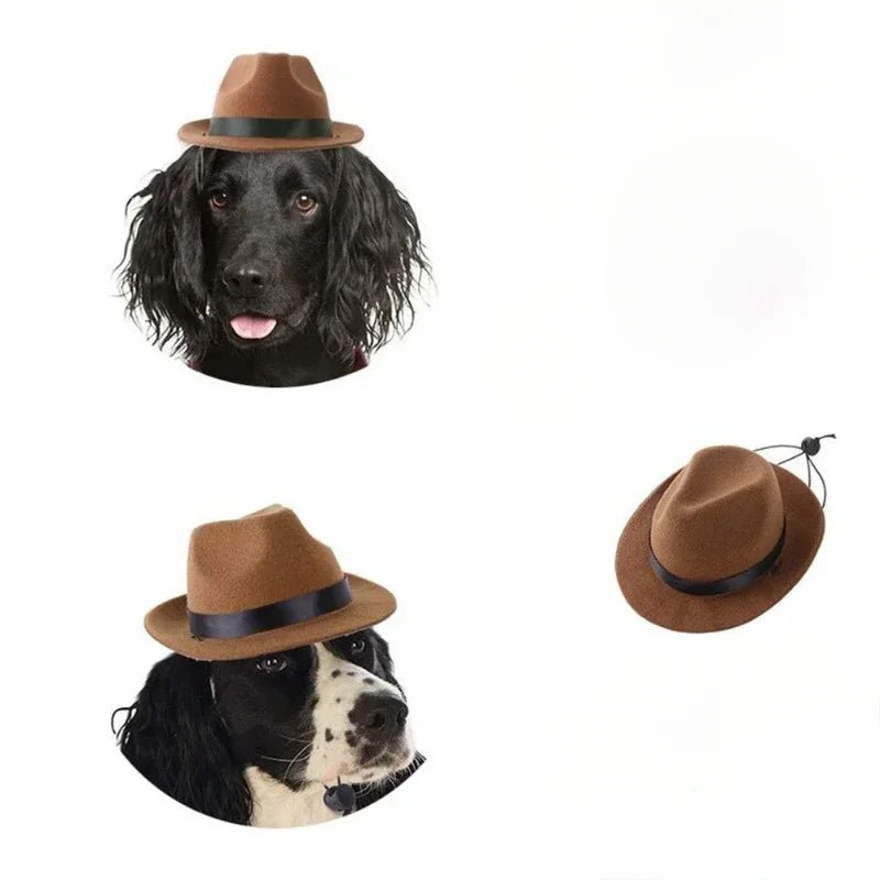 Fashion Cat Bat Wings Costume - Halloween Pet Cosplay Prop - Freddie & Wilson