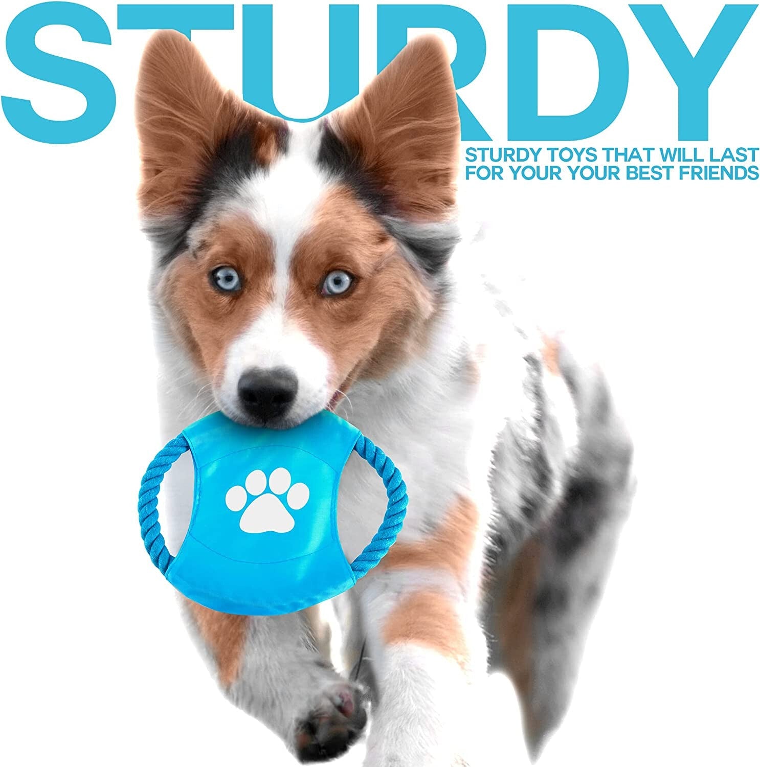 10 Piece Dog Rope Toys Set - Durable Chew Toys for Puppies & Dogs - Freddie & Wilson