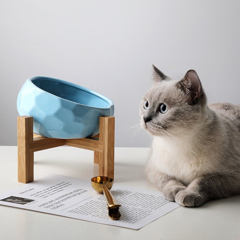 Tilted Cat Bowl - Ergonomic Angled Pet Food Bowl for Comfortable Feeding - Freddie & Wilson
