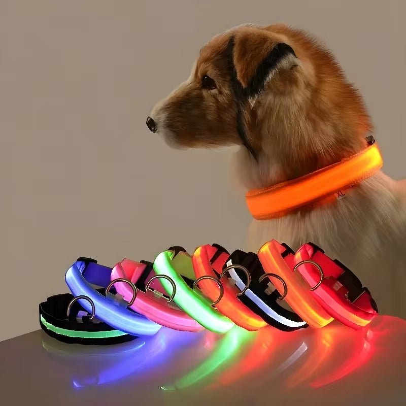 LED Night Safety Dog Collar - Nylon Glow in the Dark Pet Collar - Freddie & Wilson