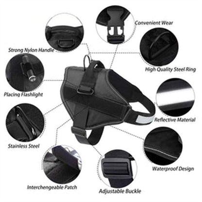 Dog Vest Harness with Leash - Comfortable Chest Strap for Walking - Freddie & Wilson