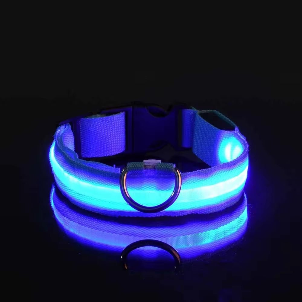 LED Night Safety Dog Collar - Nylon Glow in the Dark Pet Collar - Freddie & Wilson