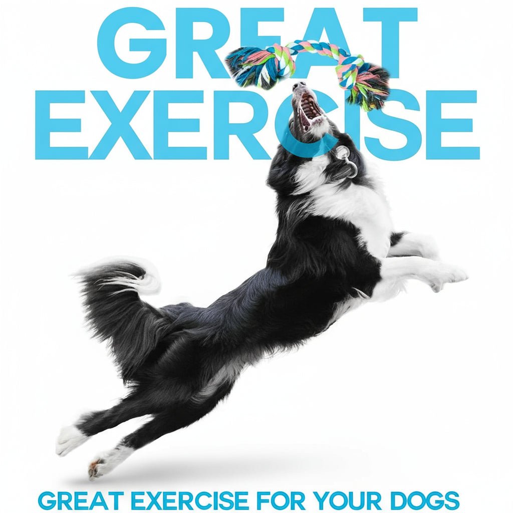 10 Piece Dog Rope Toys Set - Durable Chew Toys for Puppies & Dogs - Freddie & Wilson