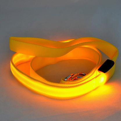 Glowing LED Dog Leash - Light Up Pet Lead for Night Safety - Freddie & Wilson