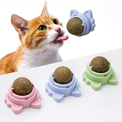 Catnip Wall Balls - Healthy Dental Chew Toys for Cats - Freddie & Wilson
