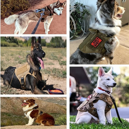 Luxury Camouflage Dog Harness & Leash Set - Premium Nylon Chest Harness - Freddie & Wilson