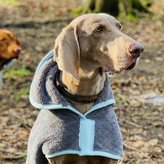 HENRY WAG MICROFIBRE DRYING COAT ROBE - FAST DRY - Freddie & Wilson
