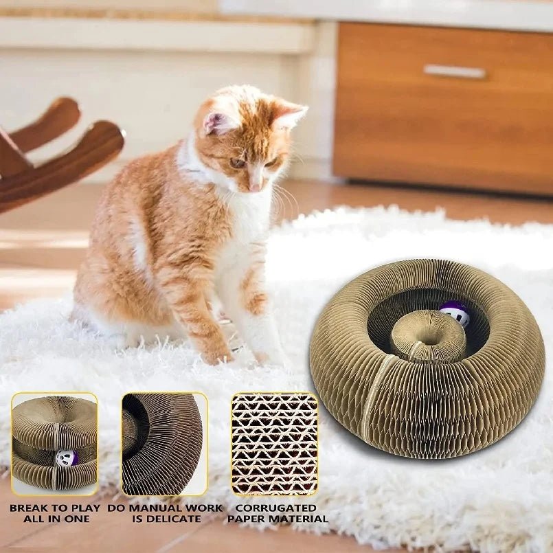 Foldable Cat Scratching Board - Eco - Friendly Cardboard Scratcher - Freddie & Wilson