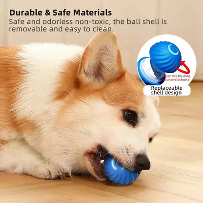 Smart Dog Toy Ball - Automatic Electronic Interactive Training Pet Toy - Freddie & Wilson