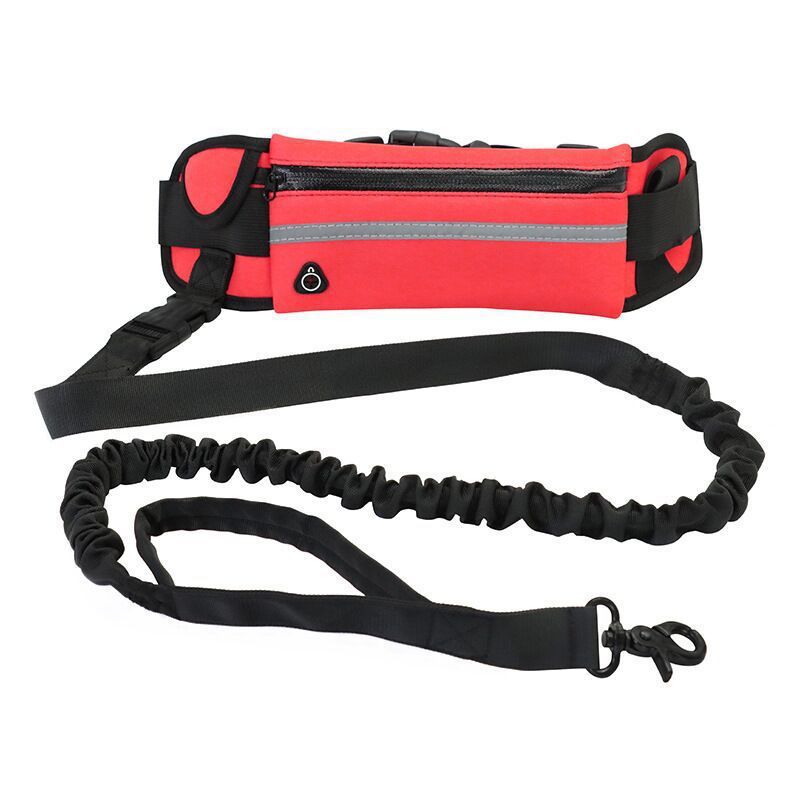 Pet Purse Dog Leash - Hands - Free Walking with Storage Pouch - Freddie & Wilson