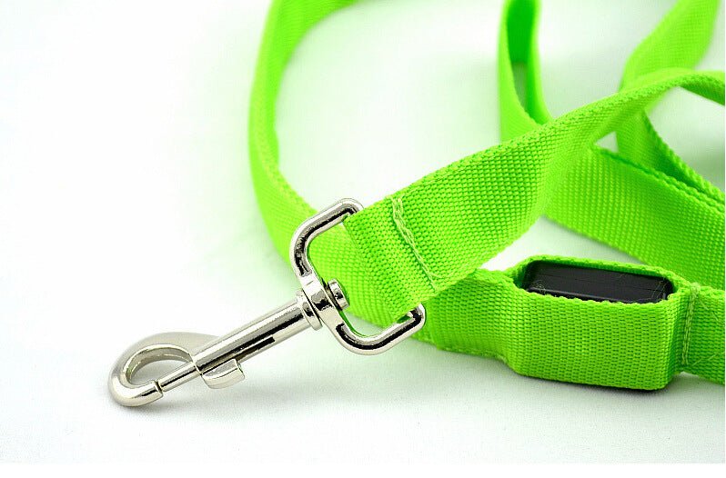 Glowing LED Dog Leash - Light Up Pet Lead for Night Safety - Freddie & Wilson