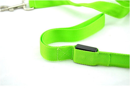 Glowing LED Dog Leash - Light Up Pet Lead for Night Safety - Freddie & Wilson