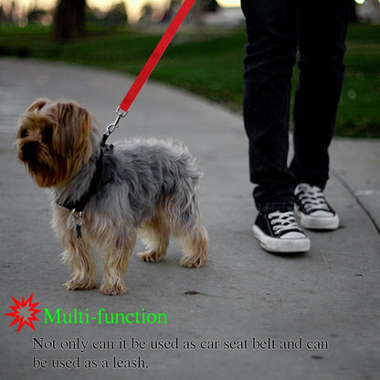 Pet Safety Leash - Secure Dog Lead for Daily Walks - Freddie & Wilson