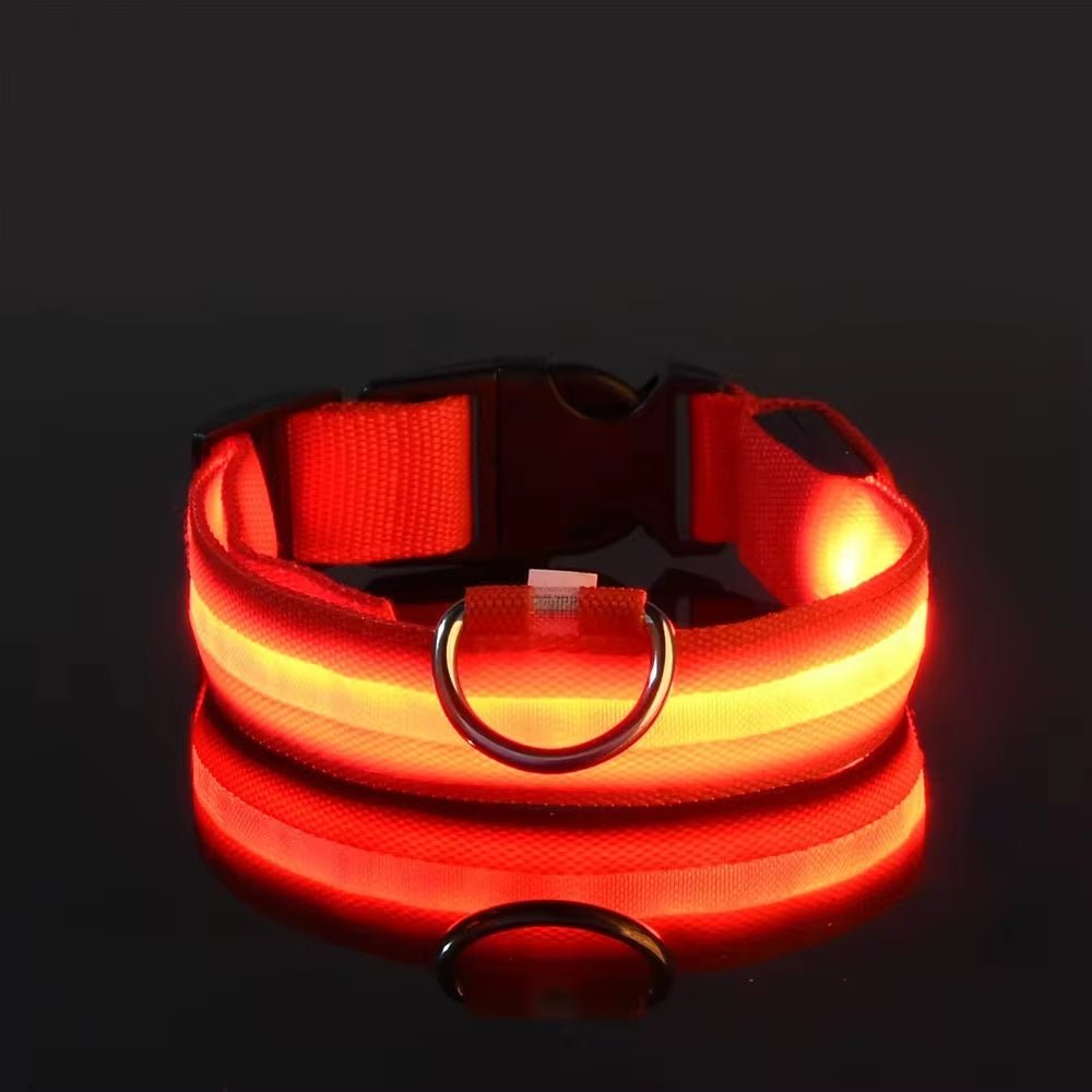 LED Night Safety Dog Collar - Nylon Glow in the Dark Pet Collar - Freddie & Wilson