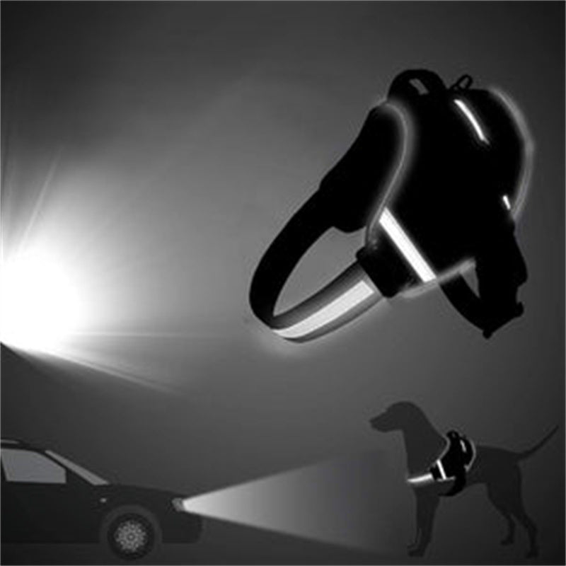 Dog Vest Harness with Leash - Comfortable Chest Strap for Walking - Freddie & Wilson