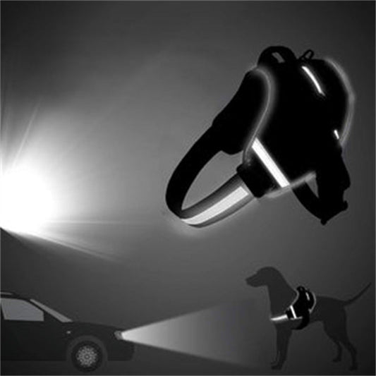 Dog Vest Harness with Leash - Comfortable Chest Strap for Walking - Freddie & Wilson