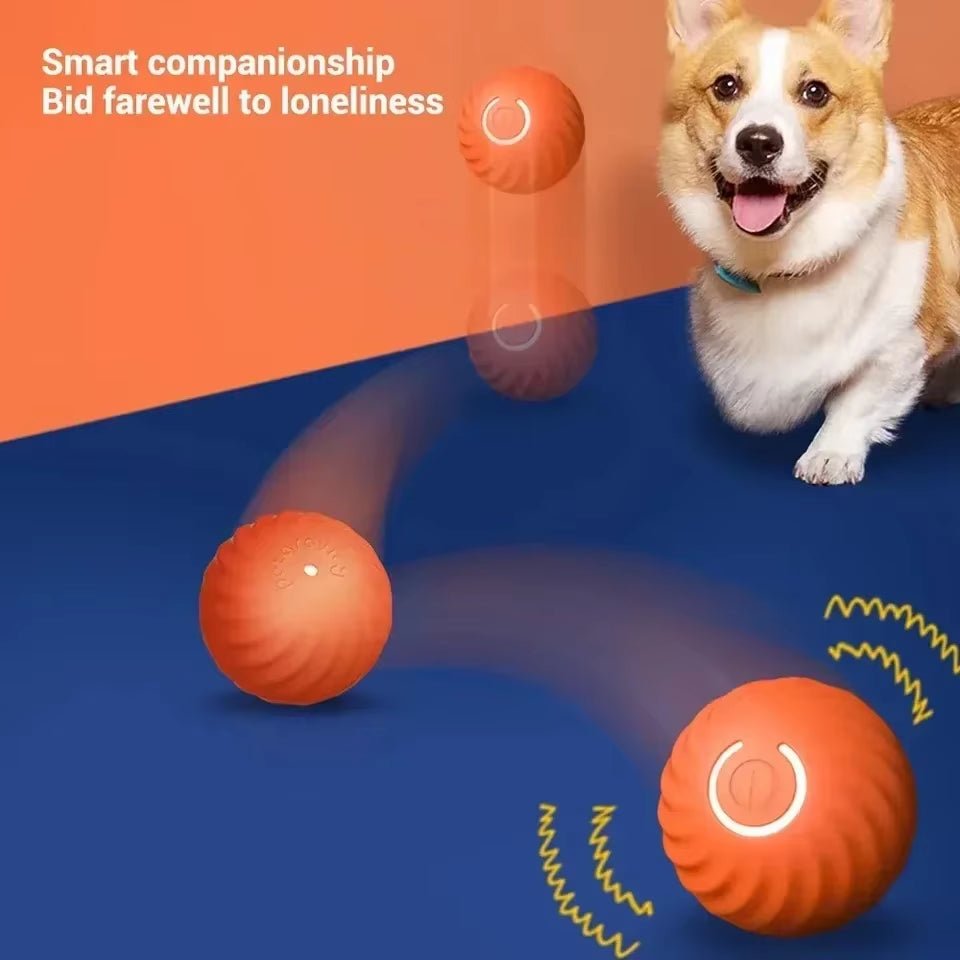 Smart Dog Toy Ball - Automatic Electronic Interactive Training Pet Toy - Freddie & Wilson