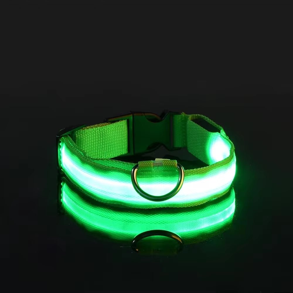 LED Night Safety Dog Collar - Nylon Glow in the Dark Pet Collar - Freddie & Wilson