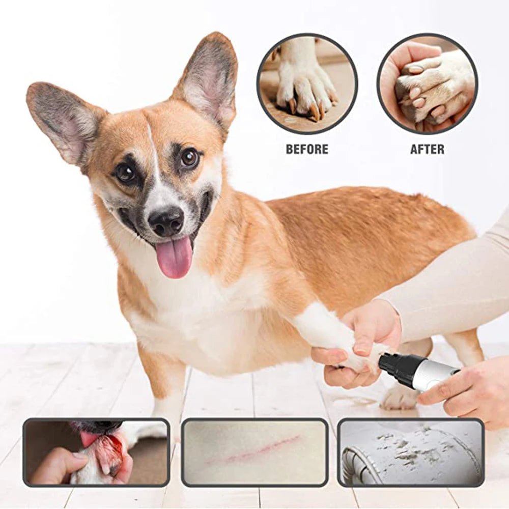 Electric Pet Nail Clipper - USB Rechargeable Grinder for Dogs & Cats - Freddie & Wilson