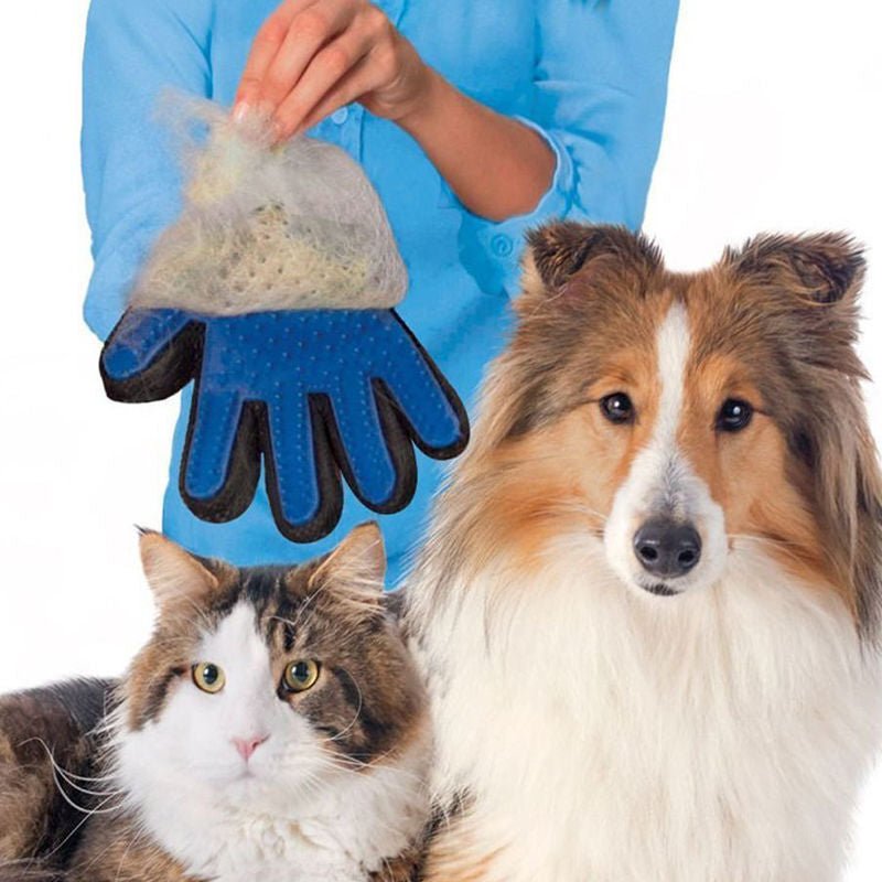 Pet Cat Dog Grooming Bath Magic Glove Hair Massage Mitt Fur Cleaning Comb Brush - Freddie & Wilson